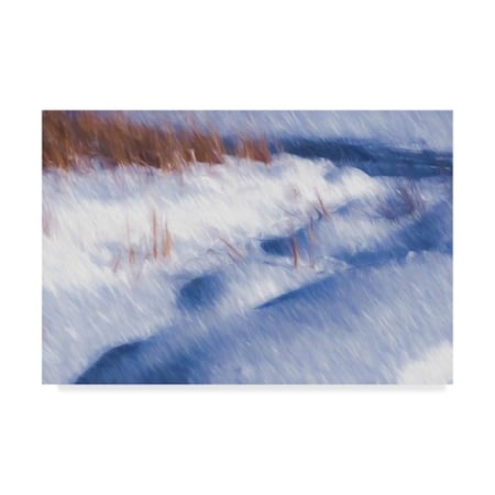 TRADEMARK FINE ART Anthony Paladino 'Winter Little Snow Mounds' Canvas Art, 16x24 ALI24670-C1624GG